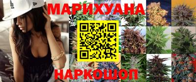 индика Братск