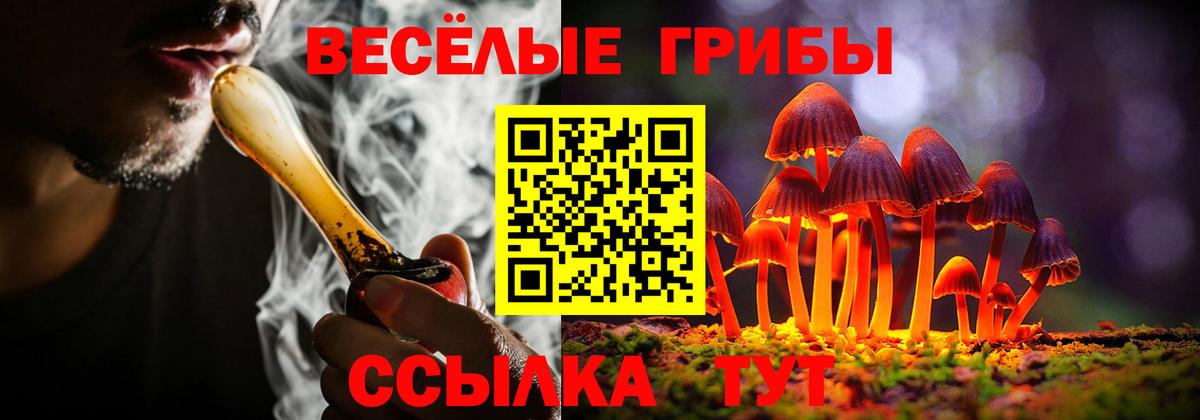 Гудермес  Псилоцибиновые грибы ЛСД  цена   Вход с VPN 